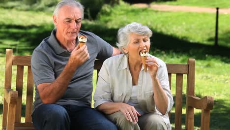 Old-man-enjoying-icecream-with-his-wife-on-a-bench