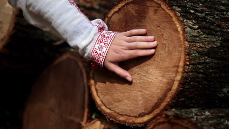 romanian girl touches the cut trees 5