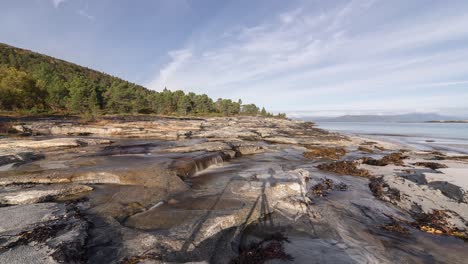 la marea baja expuso la costa rocosa con una playa de arena cubierta de algas y algas