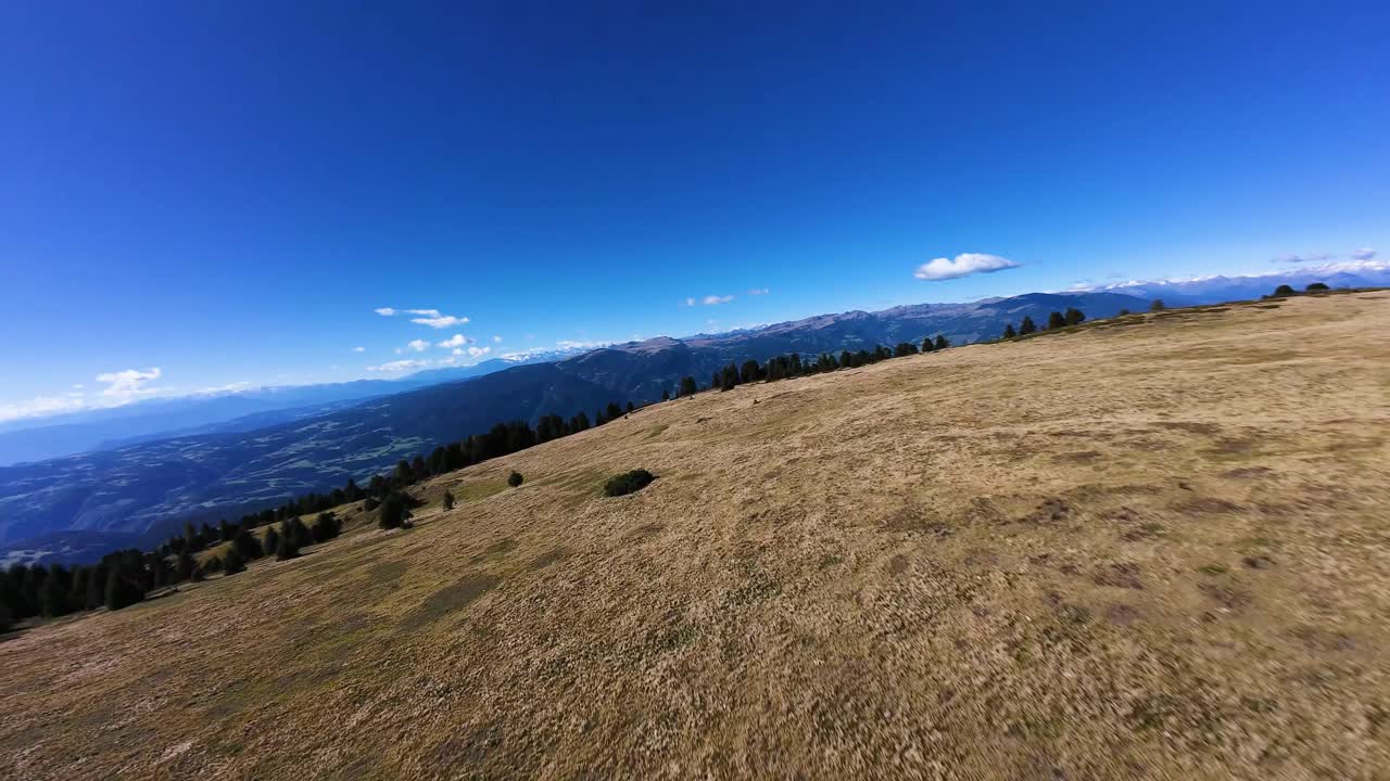 Seiser Alm (Alpe di Siusi), Dolomites, focusing on the alp pastures, space for grazing livestock, Dynamic late summer, FPV drone video