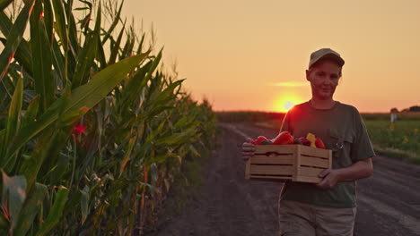 farmer harvesting vegetables at sunset