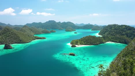 doskonałe zdjęcie lotnicze drzew na najwyższych szczytach wysp wayag, raja ampat, indonezja