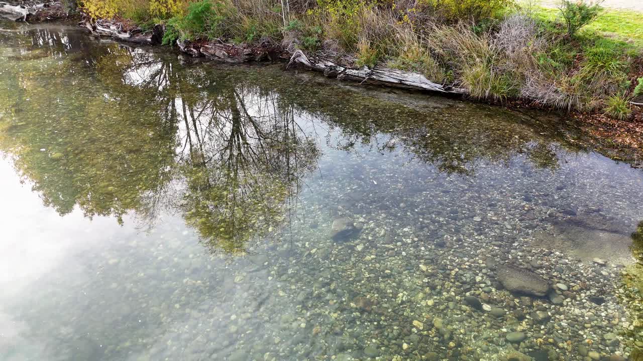 Drone captures serene lake with clear water and tree reflections. Natural setting, calm mood, and gentle camera movement