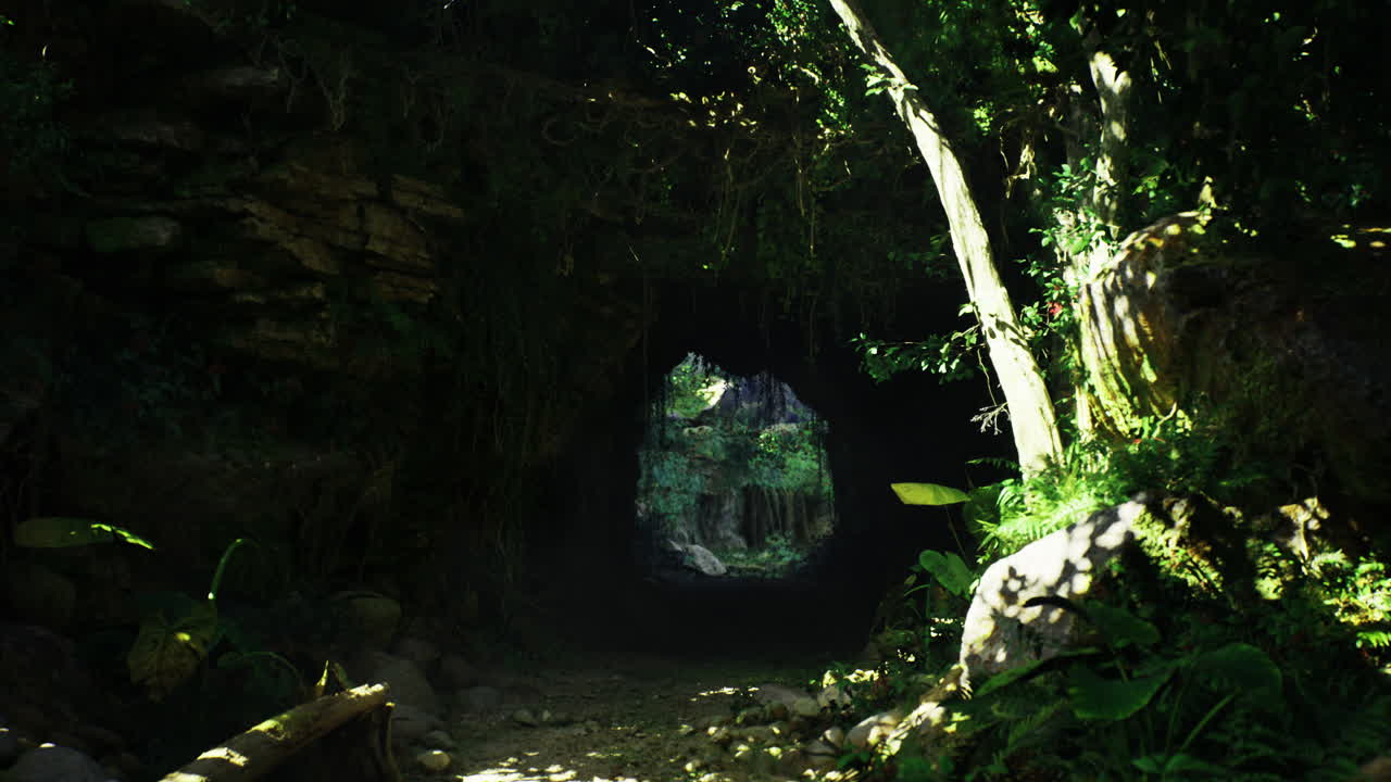 Lush greenery surrounds a cave entrance in a tropical forest during daylight