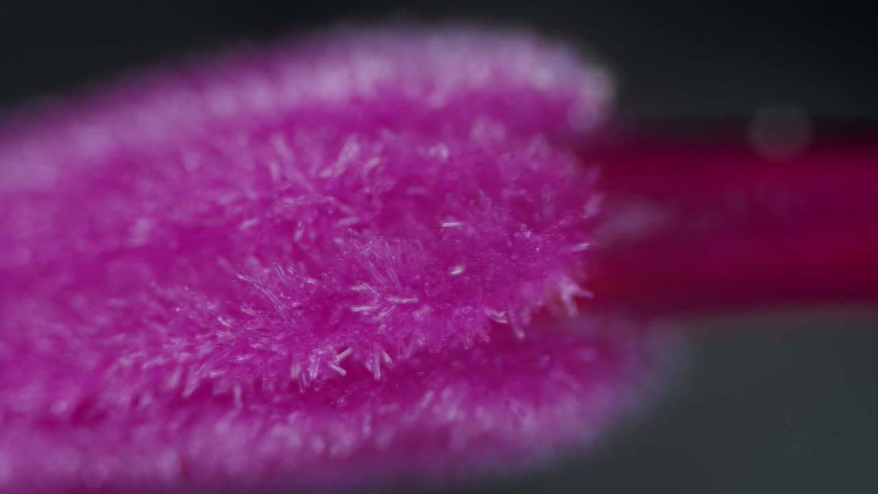 partículas microscópicas de polen en el pistilo del estigma de la flor