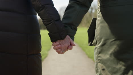 primer plano de una pareja de ancianos amorosos tomados de la mano caminando juntos por el parque de otoño o invierno