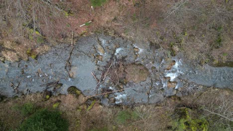 Statischer-Überblick-Von-Oben-Nach-Unten-über-Einen-Ruhigen-Fluss,-Der-Zwischen-Blätterlosen-Bäumen-In-Einem-Ruhigen-Wald-Fließt