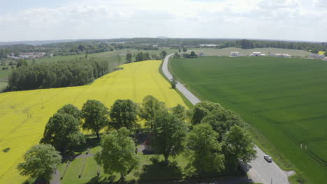 Aerial-view-over-yellow-canola-field-landscape-with-a-lonely-house