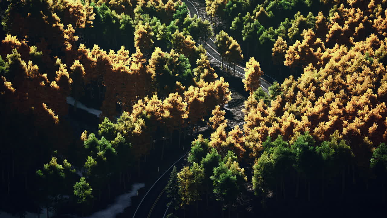 가을 에 숲 을 가로지르는 휘어지는 도로 의 공중 사진