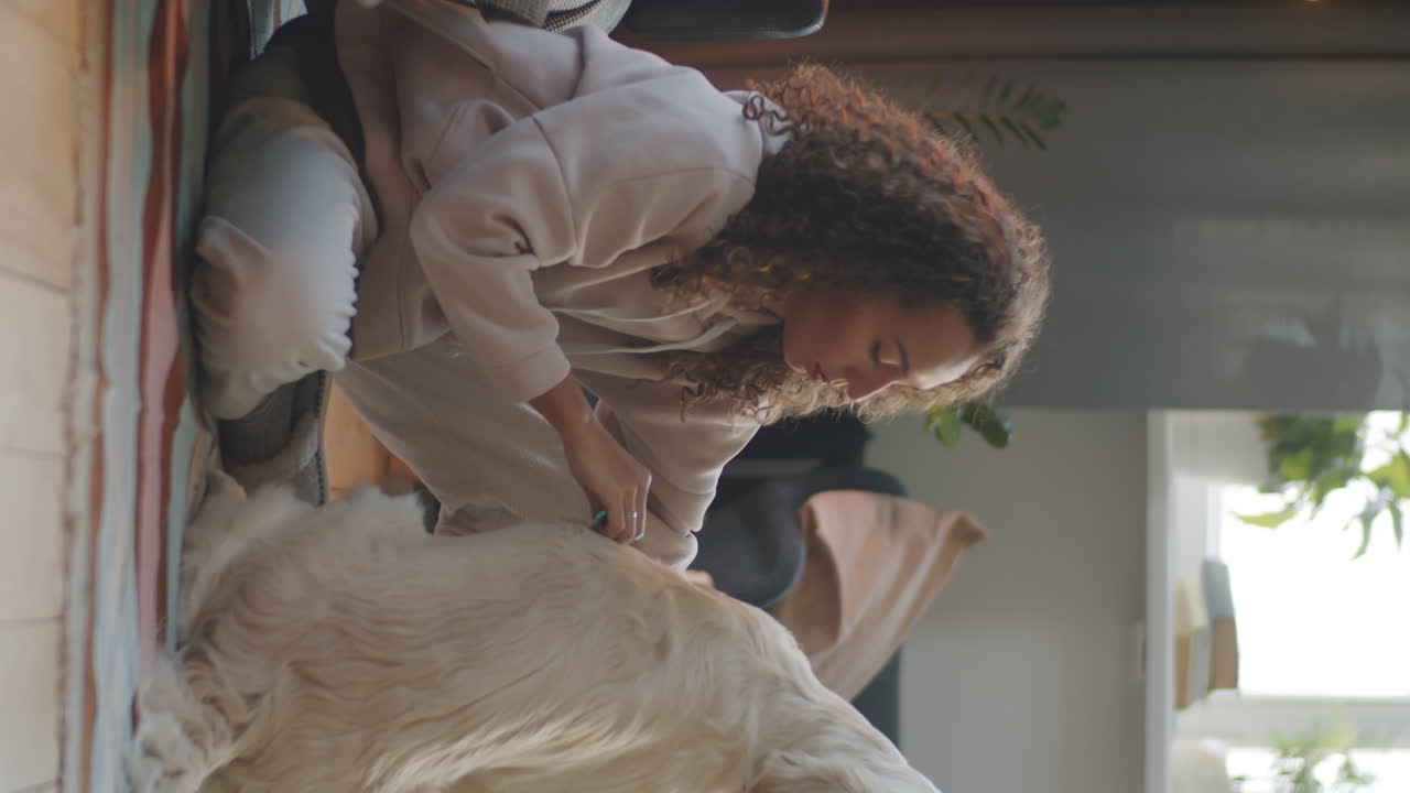 mujer preparando un golden retriever en casa