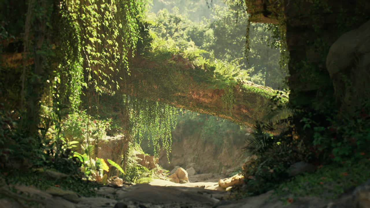 Lush greenery and sunlit stone arch in a serene forest landscape in china
