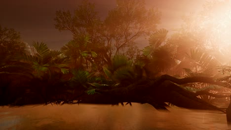 sunset beams through palm trees