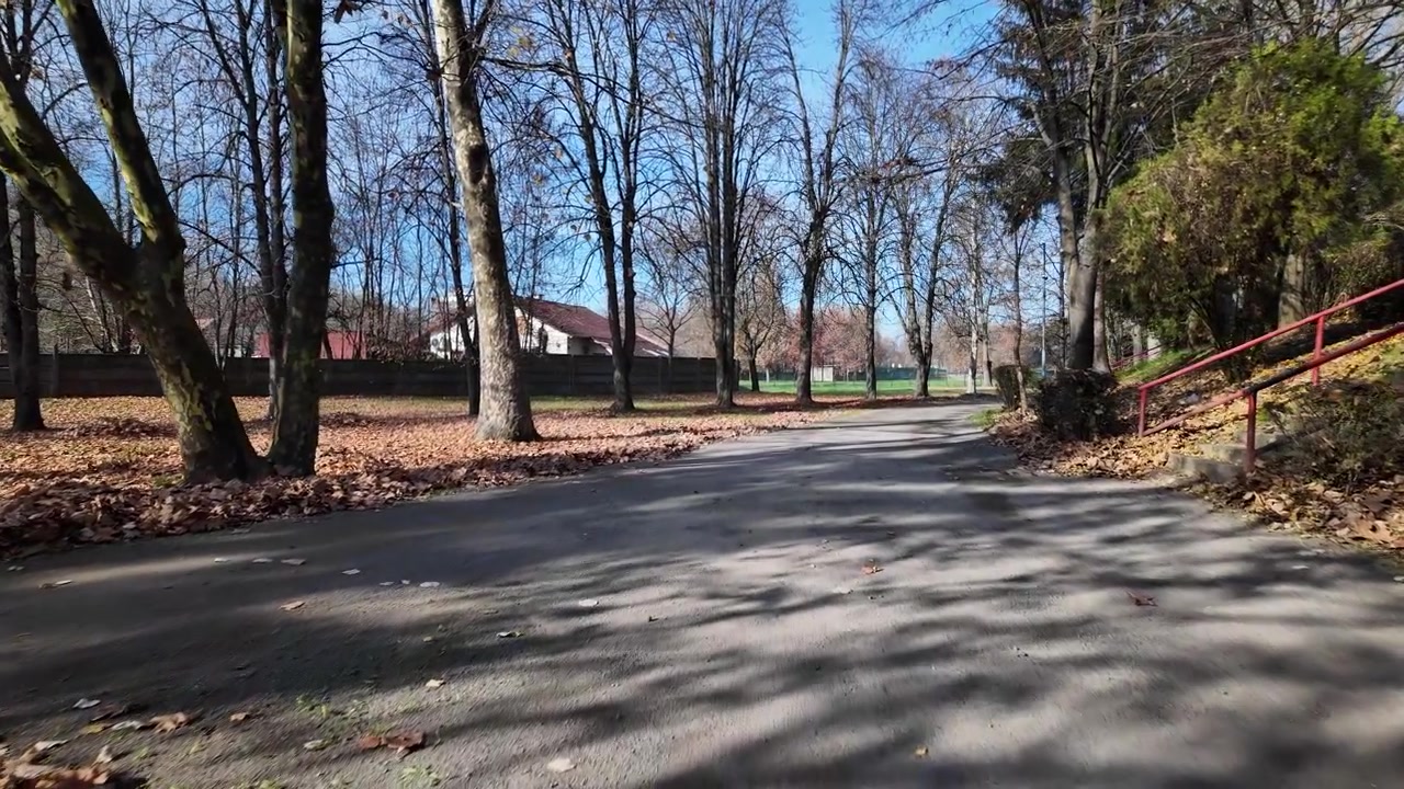 Parksti med efterårsblade og nøgne træer.
