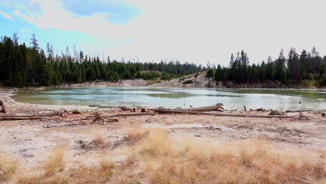 Driftwood-and-brown-grasses-fringe-the-shoreline-of-a-pond-in-Yellowstone-National-Park