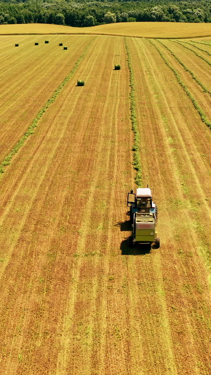 Aerial view of a tractor working on the field. Agricultural works of collecting dry grass in summer on the natural landscape. Vertical video