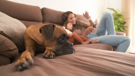 young mother and daughter along with pet dog watching tv