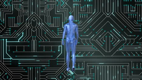 animación de un modelo humano y procesamiento de datos en una placa de circuitos