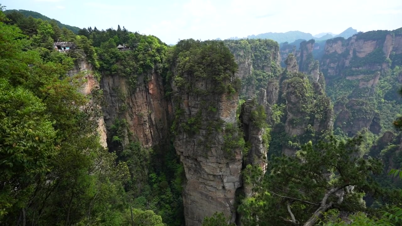 Vista maestosa dei pilastri di arenaria quarzifera di Yuanjiajie nel Parco Forestale Nazionale di Zhangjiajie