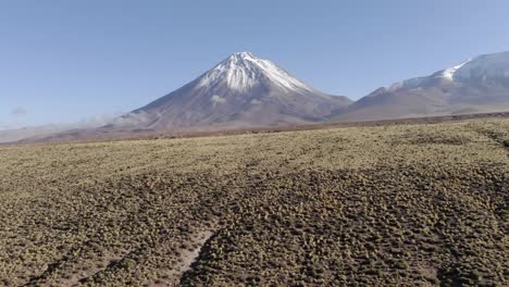 arbustos del desierto bajo prosperan en antena baja hacia el volcán licancabur