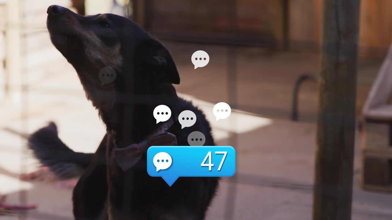 Dog barking with 47 chat bubbles animation over outdoor background