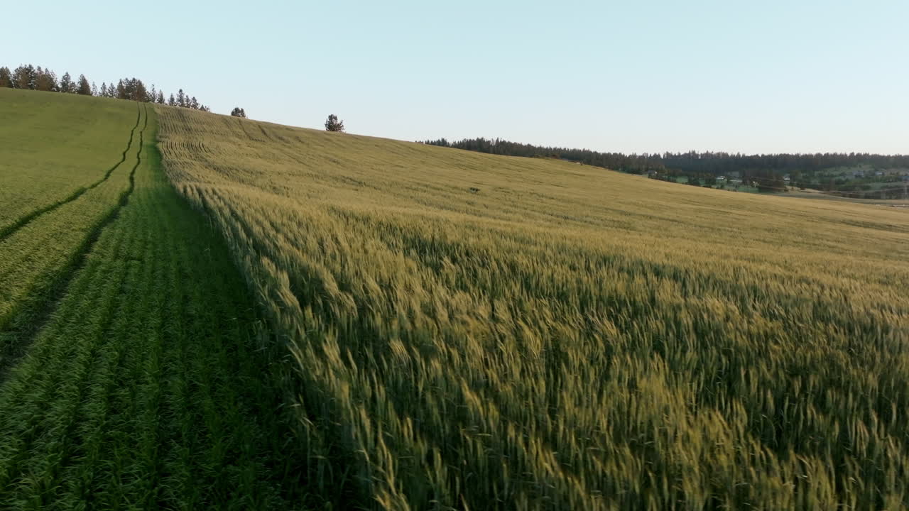 The border between crops and pasture curves gracefully across golden hills