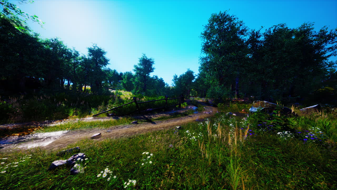 camino de bosque soleado con arroyo y flores