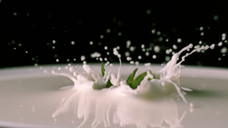 strawberry falling in glass of milk