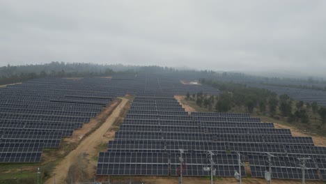 solar photovoltaic panels