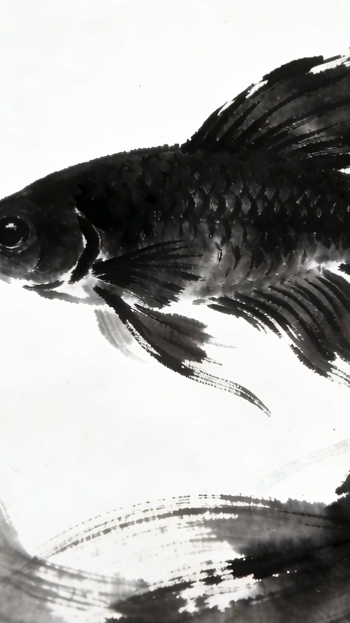 Video verticale: La telecamera ingrandisce un disegno di pesce a inchiostro su carta bianca, rivelando pinne sinuose.