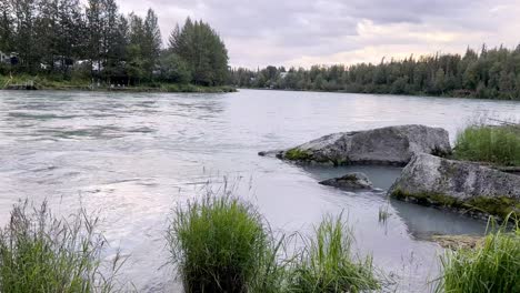 Kenai-River-flows-in-Soldotna-Alaska