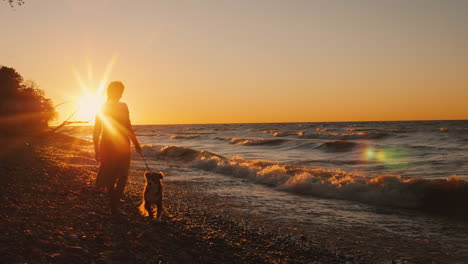 Silhouette-Einer-Frau,-Die-Bei-Sonnenuntergang-Mit-Ihrer-Hunderasse-Kaukasischer-Hirte-Spielt