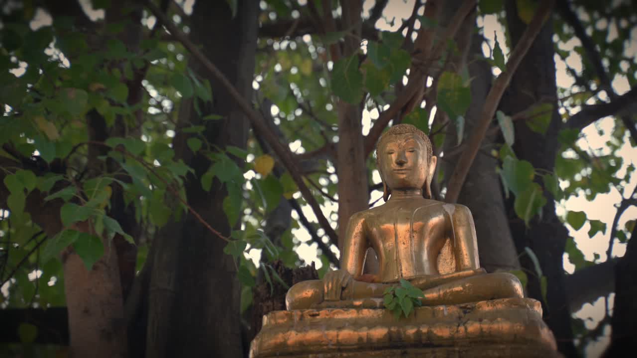 A majestic golden Buddha statue inside a temple, enlightenment and spiritual peace, small statue medium static