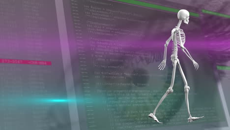 Animation-Der-Datenverarbeitung-Und-Digitales-Skelett-über-Dem-Auge