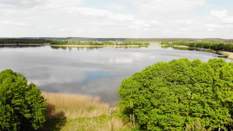 Reflections-On-Still-Water-With-Grove-Landscape-On-Summer-Coastline-At-Styporc-In-Northern-Poland