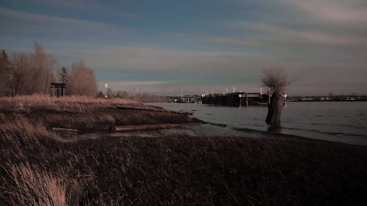 큰 화물선 앞에 있는 물 속의 그루터기에서 나무가 자라는 아름다운 풀로 뒤덮인 강둑의 삼각대 보기