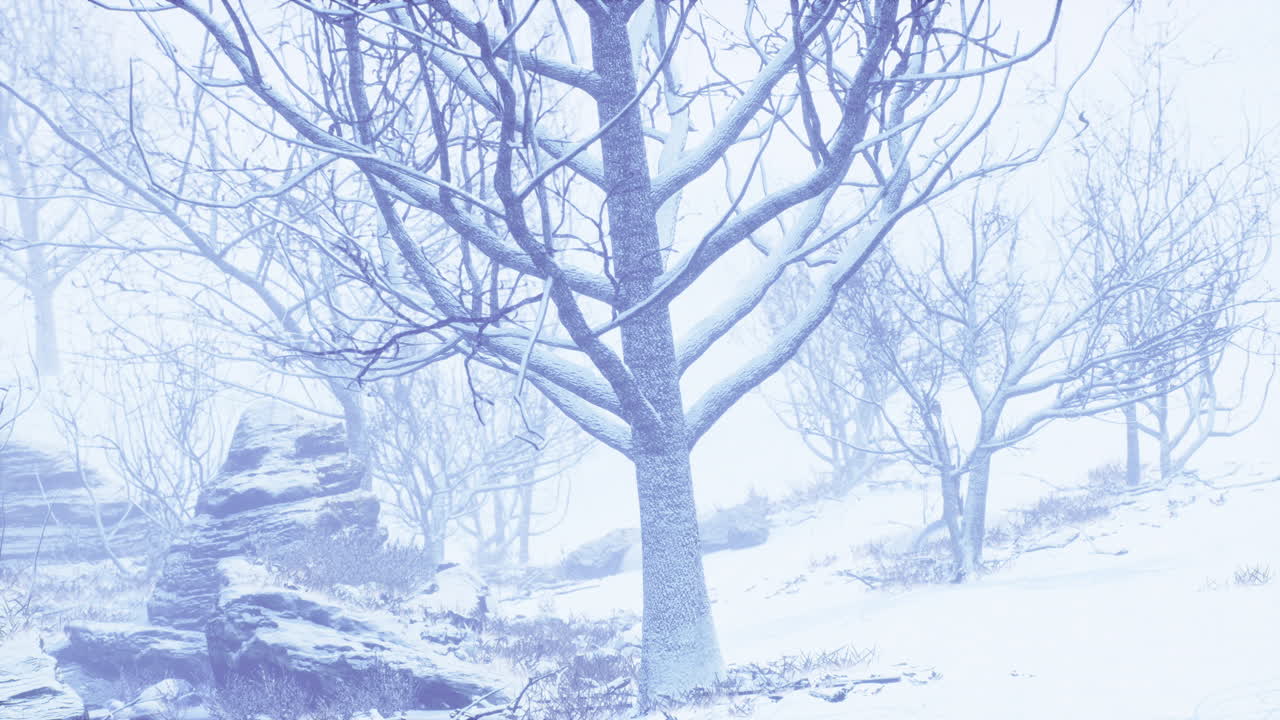 안개 가 많은 아침 에 겨울 의 낙 ⁇  숲