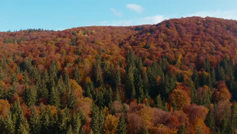 Bosque-Otoñal-En-El-Macizo-De-Ciomadul,-Condado-De-Harghita,-Rumania,-Con-Vibrantes-Colores-De-Otoño,-Vista-Aérea