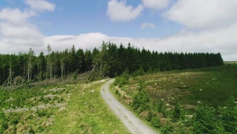 Unglaubliches-Sonnenlicht-Enthüllt-Schnell-Bewegte-Wolken-Auf-Der-Forststraße-Von-Glencree,-Irland