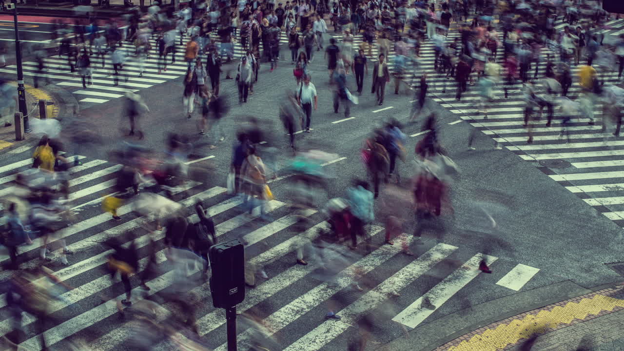 스크램블 교차로 15