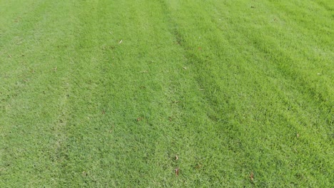 lush green track with distant mountains visible