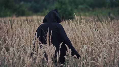 scary witch evil outdoors. back view on scary ghost in black robe and hood on head turning horrorful face to camera. demon of death on the ripe wheat field. mystery concept.