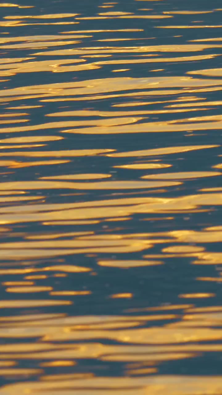 Acqua scintillante con la luce del sole serale