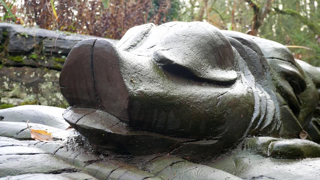 lechón de madera tallada en troncos sentado en otoño húmedo bosque reserva natural forest closeup izquierda dolly