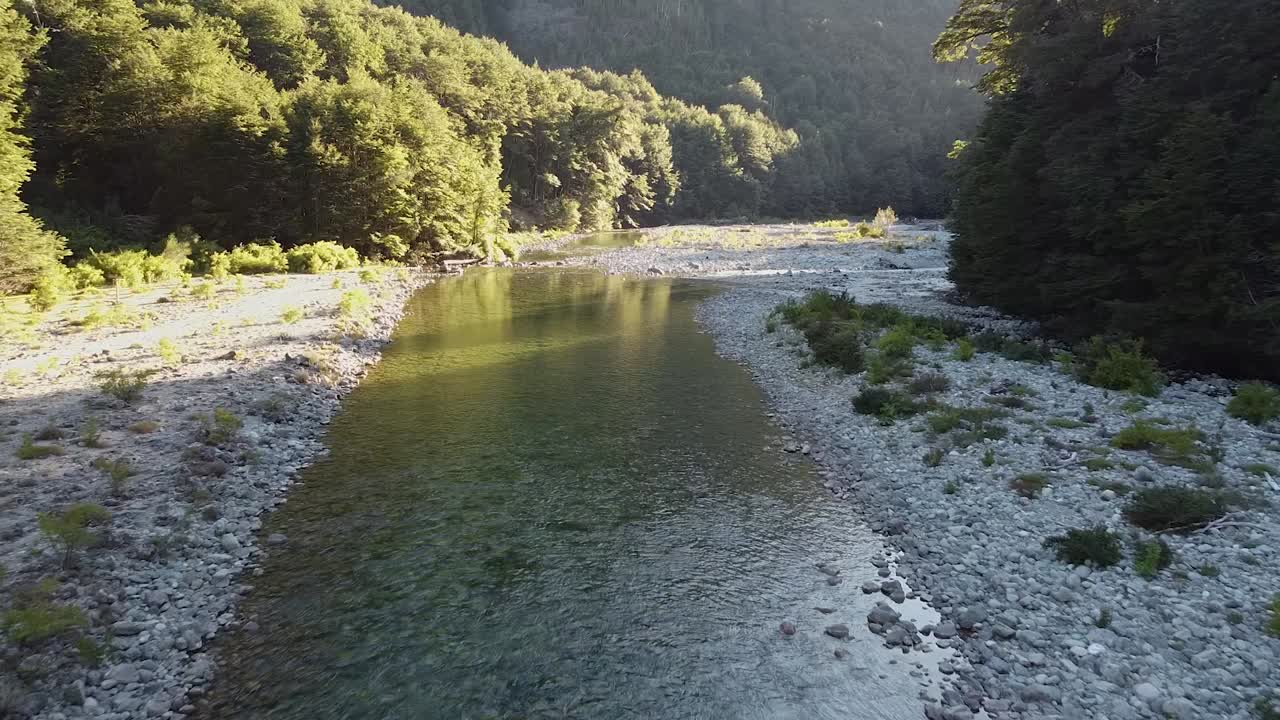 Riva sassosa di un fiume, zona con molta vegetazione.