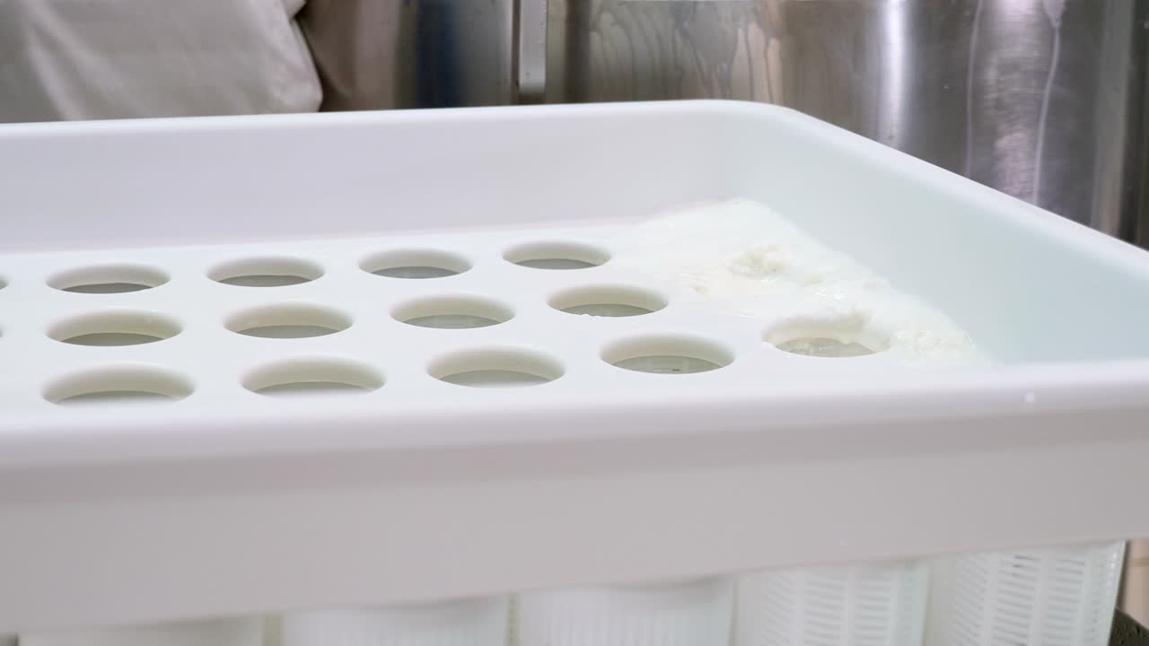 filling cheese molds- Diary Cheese factory