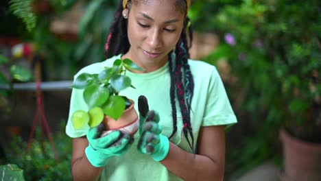 black female gardener planting plant in greenhouse