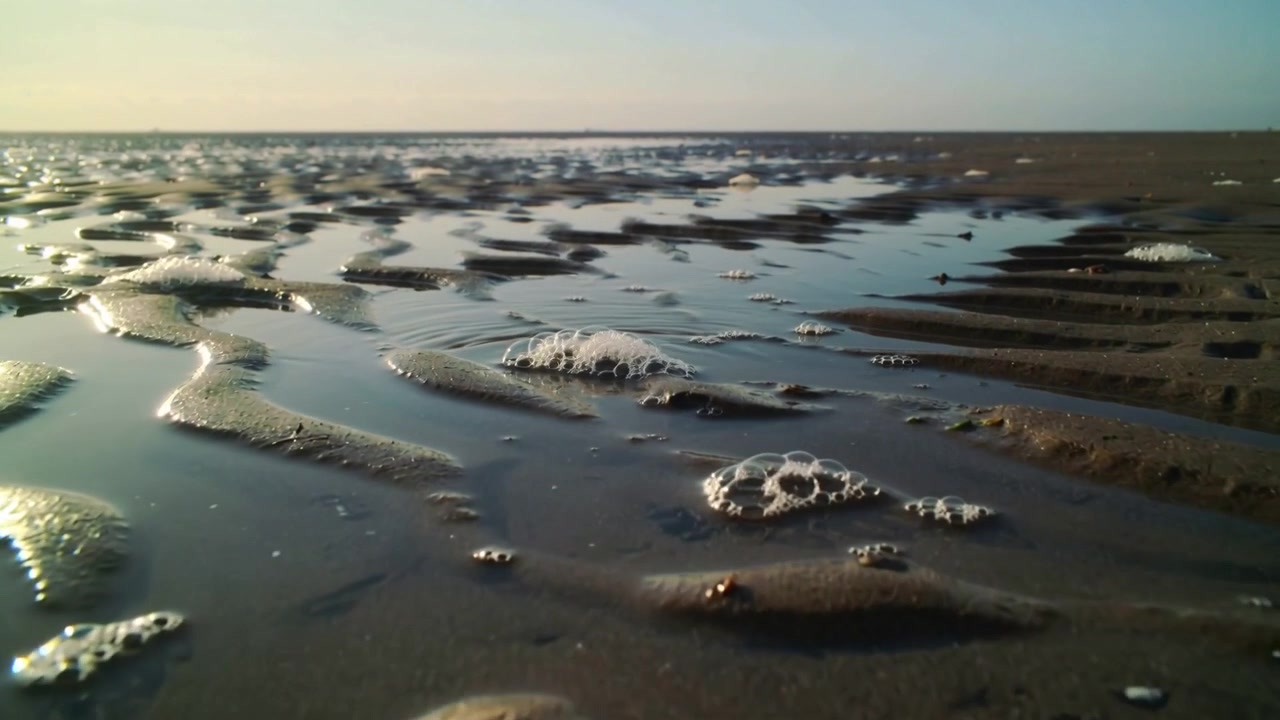 Shifting tide creating foam clusters on rippled wet sand and tidal pools on tidal flat
