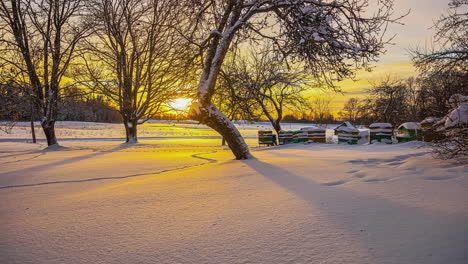 time lapse of winter landscape, vibrant sunset, with tree shadows moving on snow surface, nordic scene