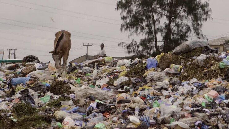 Cavallo su cumulo di rifiuti in Nigeria 01