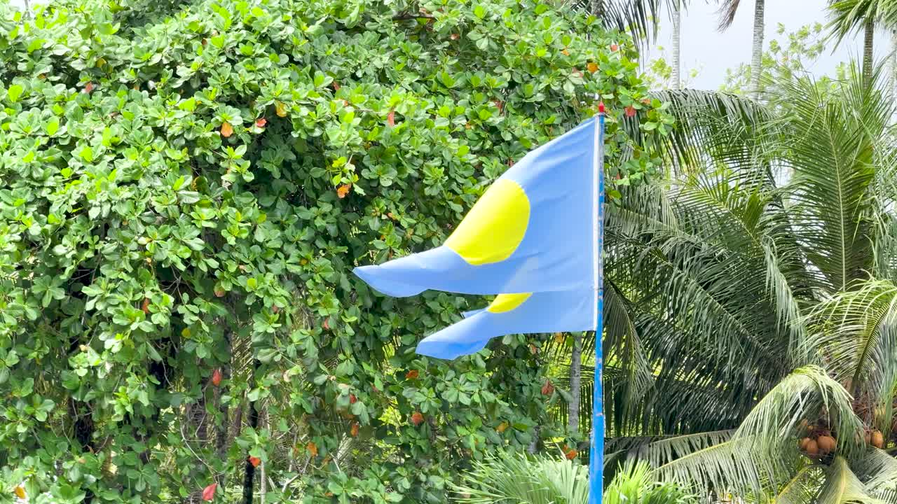 La bandiera palauana blu e gialla sventola su un'asta contro il verde lussureggiante di un giardino tropicale.